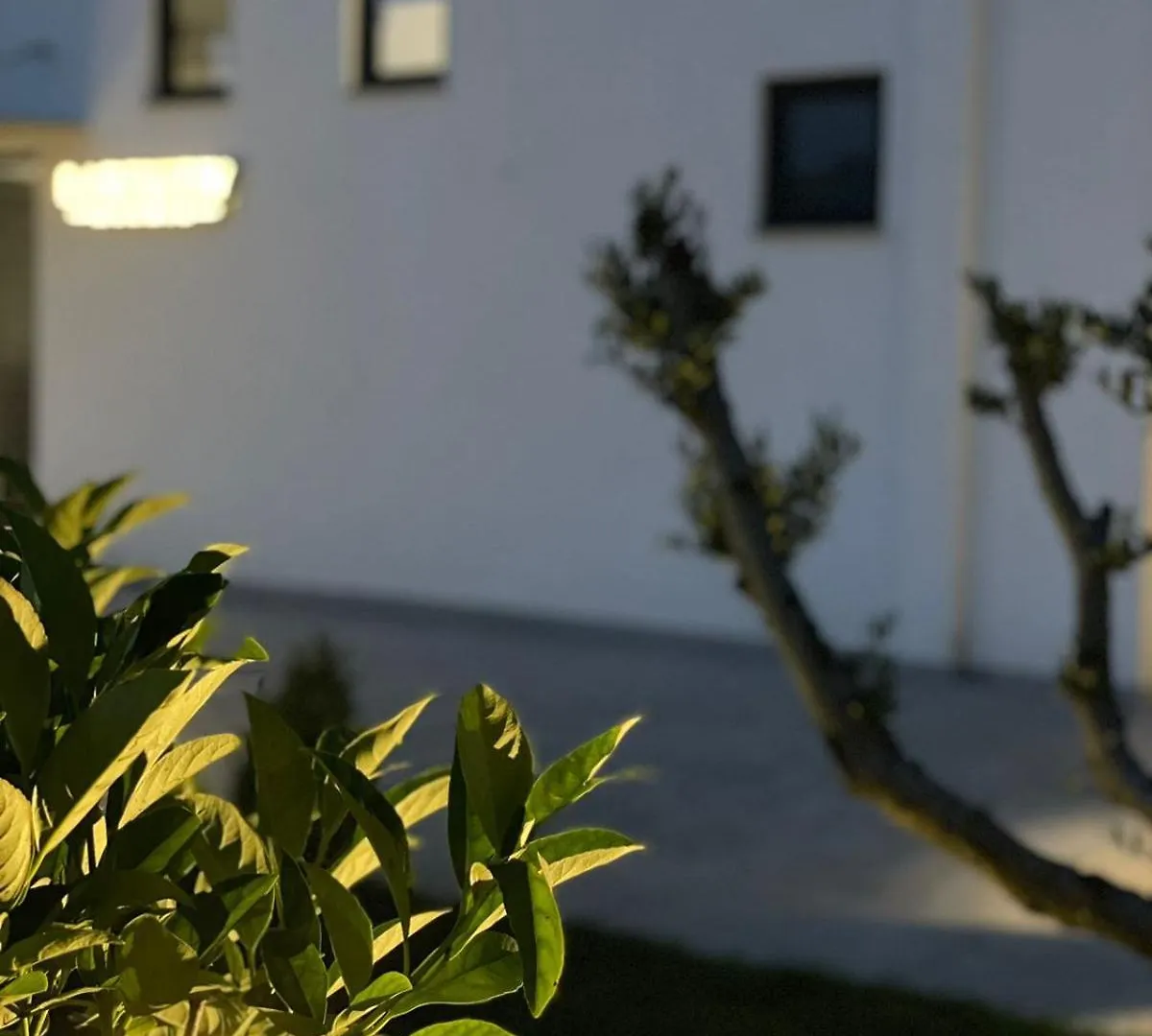 Lake View Rooms Ksamil 0*,